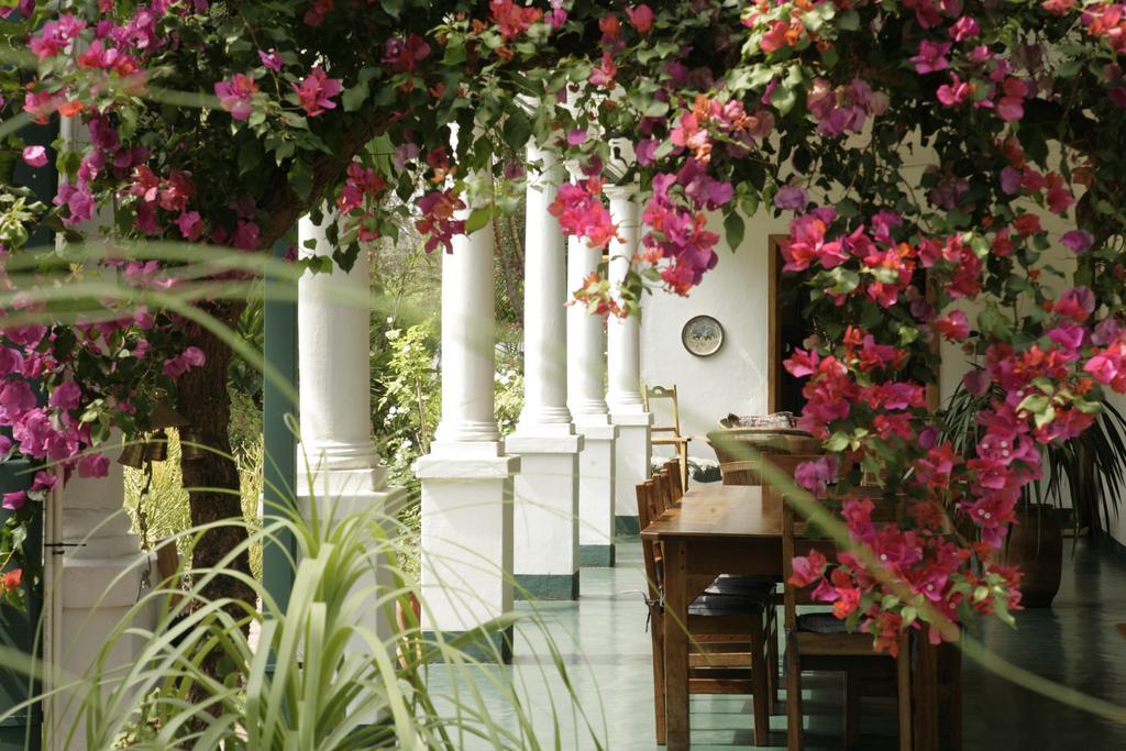 York Lodge Harare Eksteriør bilde